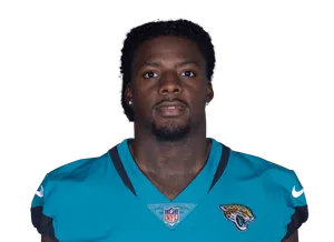 D. Johnson headshot